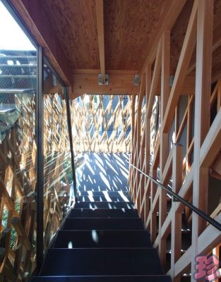 サニーヒルズ南青山