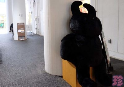 2k540 AKI-OKA ARTISAN